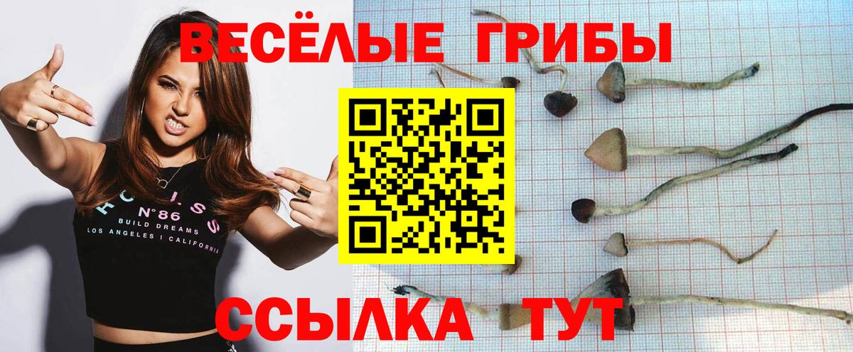 Галлюциногенные грибы Magic Shrooms  Галлюциногенные грибы Psilocybe  Вход с VPN  Усть-Кут 
